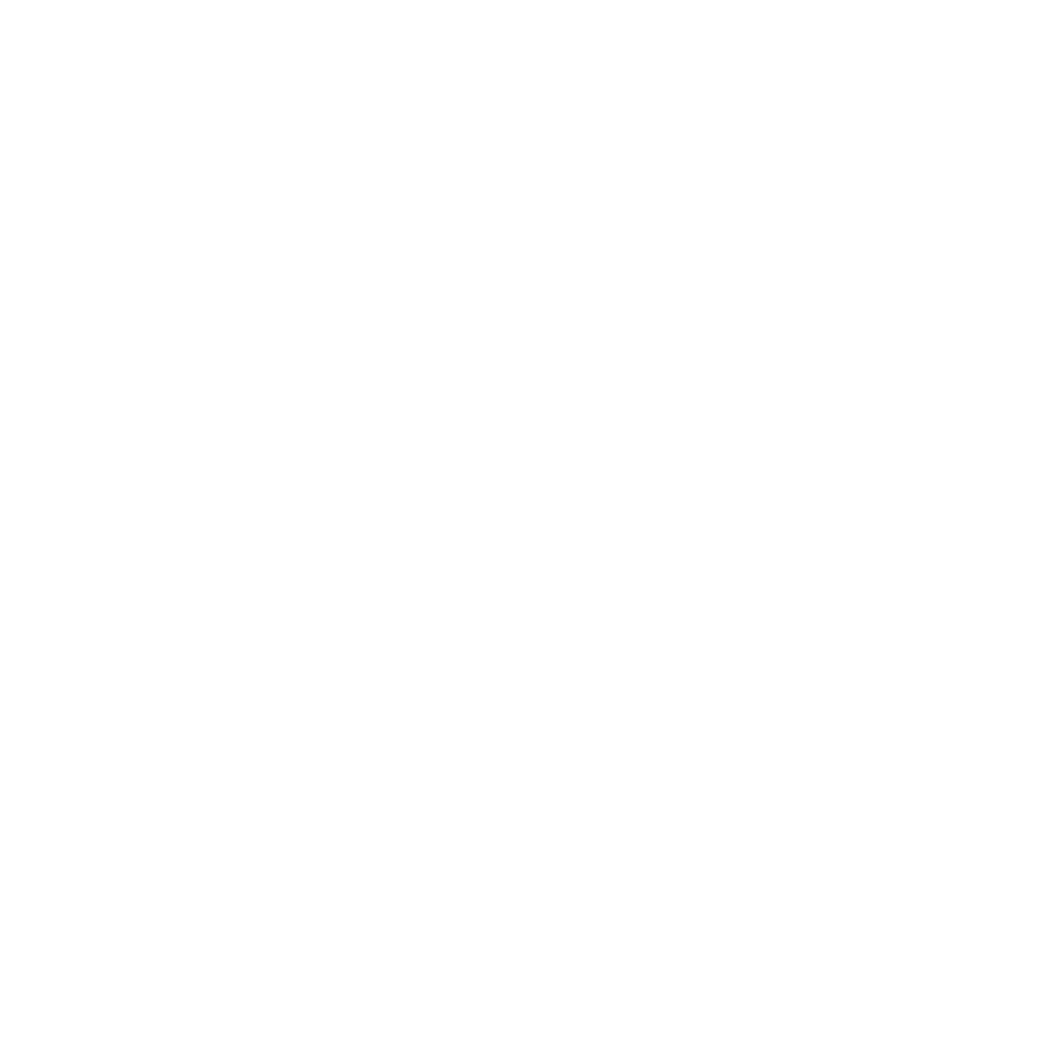 أمير الباحوث